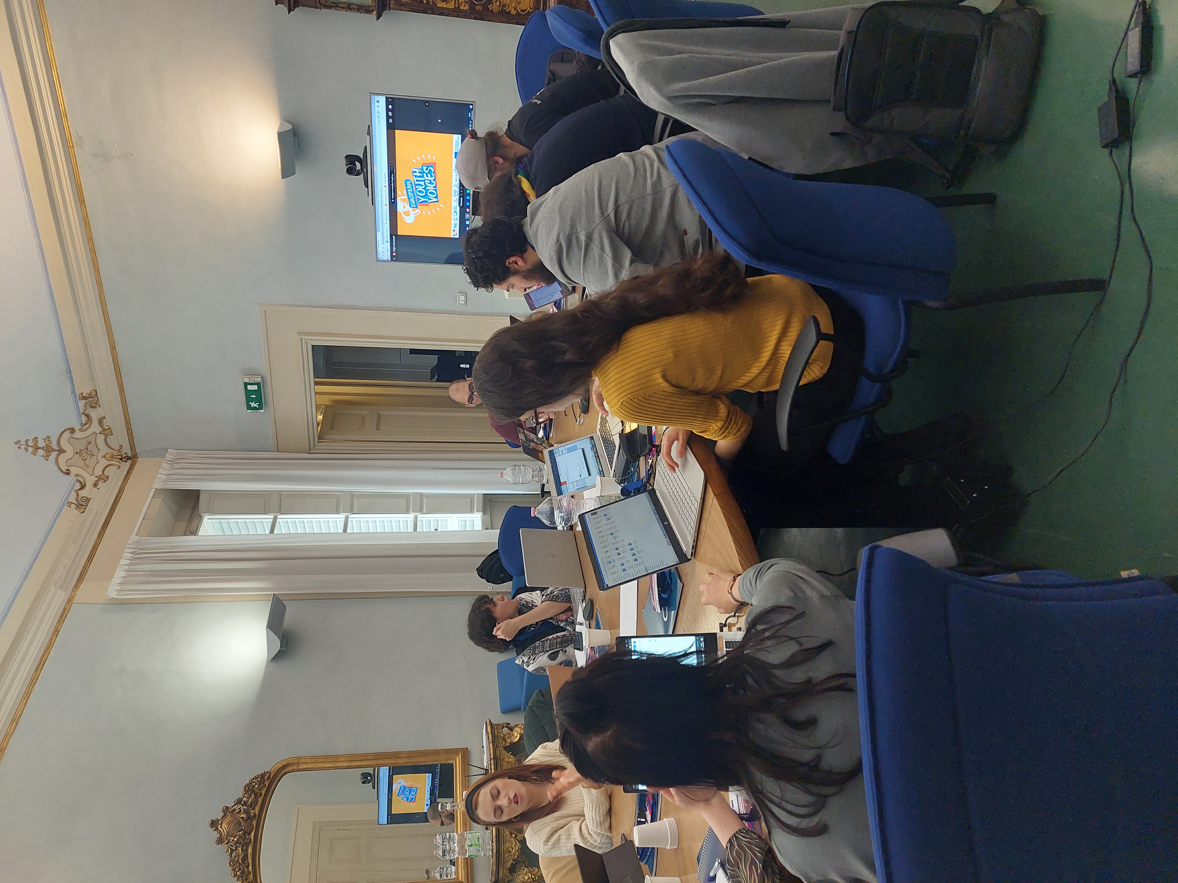 Researchers Meeting – European Youth Voices — photo 4
