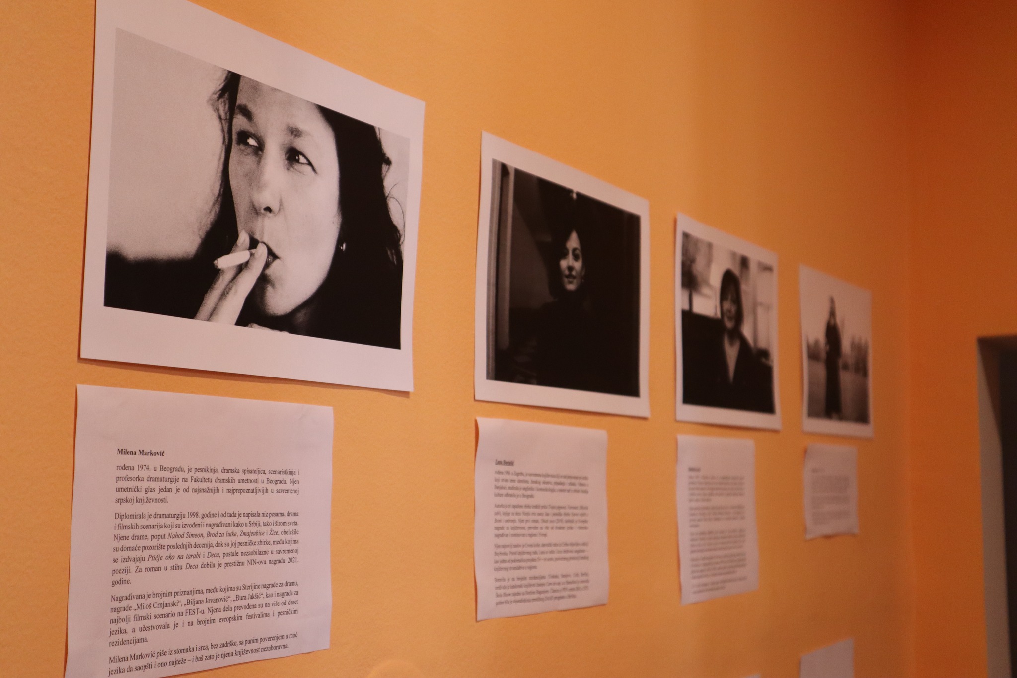 Art events — photo 12